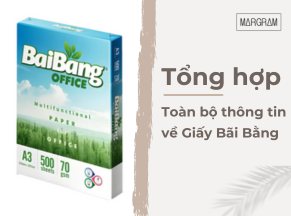 Khám phá sự đa dạng và những ứng dụng của Giấy bãi bằng