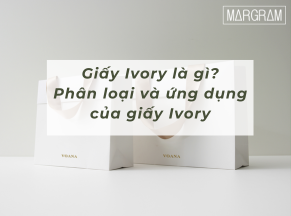 Giấy Ivory là gì? Phân loại và ứng dụng của giấy Ivory